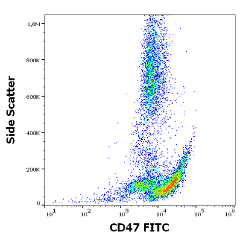 FITC Anti-Human CD47 (MEM-122)
