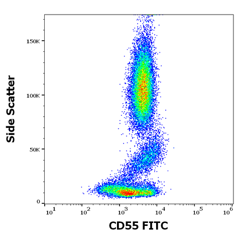 FITC Anti-Human CD55 (MEM-118)