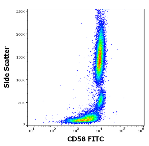FITC Anti-Human CD58 (MEM-63)