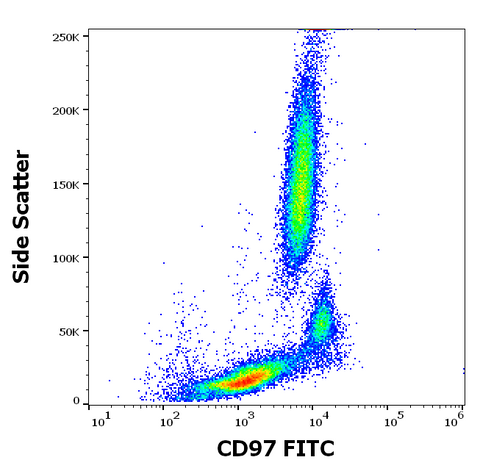 FITC Anti-Human CD97 (MEM-180)