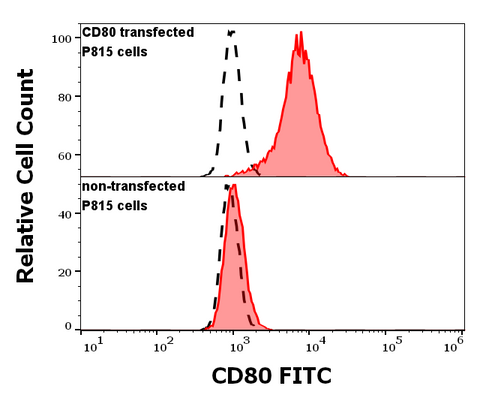 FITC Anti-Human CD80 (B7-1) (MEM-233)