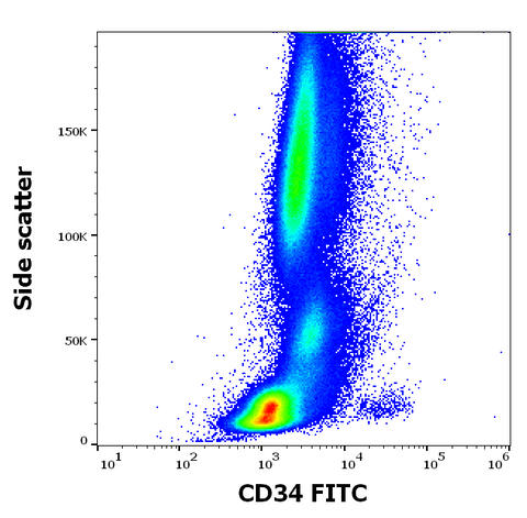 FITC Anti-Human CD34 (4H11)