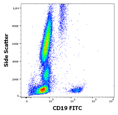 FITC Anti-Human CD19 (LT19)