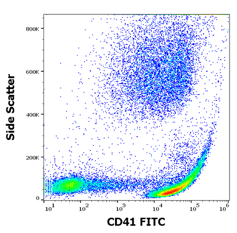 FITC Anti-Human CD41 (MEM-06)