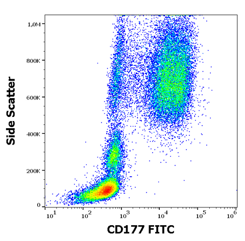 FITC Anti-Human CD177 (MEM-166)