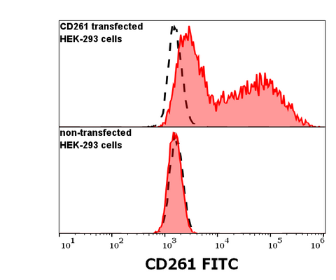 FITC Anti-Human CD261 (DR-4-02)