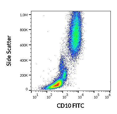 FITC Anti-Human CD10 (LT10)