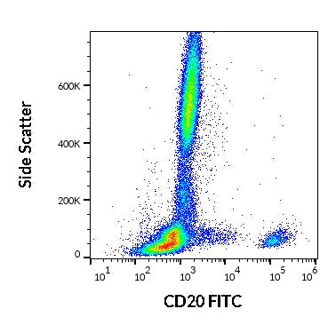 FITC Anti-Human CD20 (LT20)