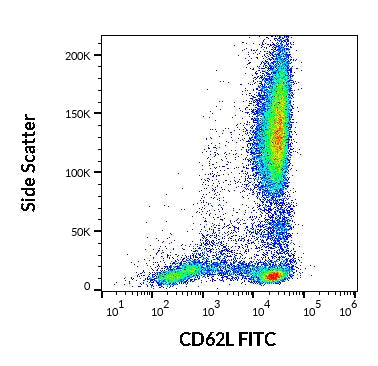 FITC Anti-Human CD62L (L-Selectin) (LT-TD180)