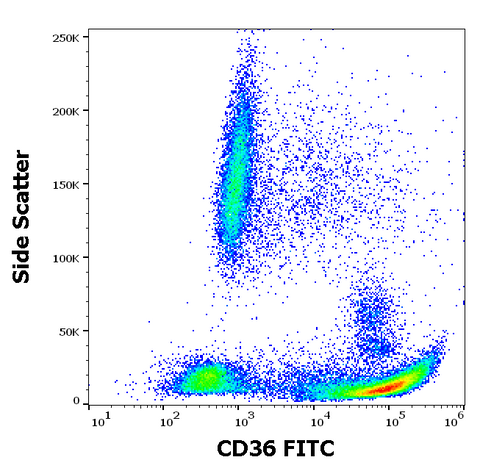 FITC Anti-Human CD36 (TR9)