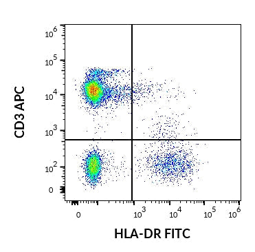 FITC Anti-Human MHC Class II (HLA-DR) (MEM-12)