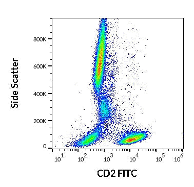 FITC Anti-Human CD2 (LT2)