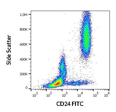 FITC Anti-Human CD24 (SN3)