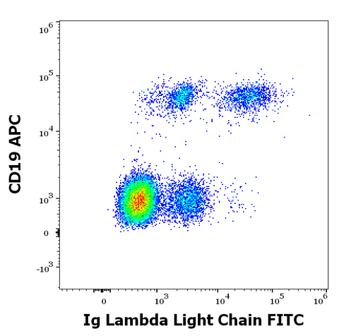FITC Anti-Human Ig Lambda (4C2)