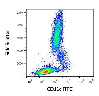 FITC Anti-Human CD11c (BU15)