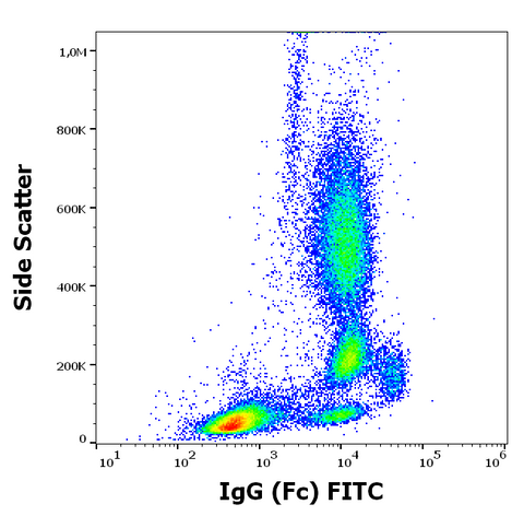 FITC Anti-Human IgG FC (EM-07)