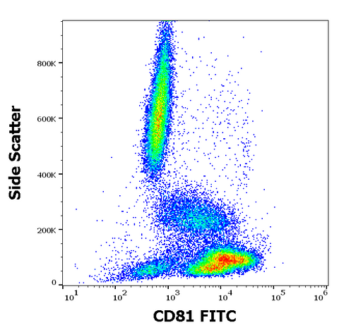 FITC Anti-Human CD81 (M38)