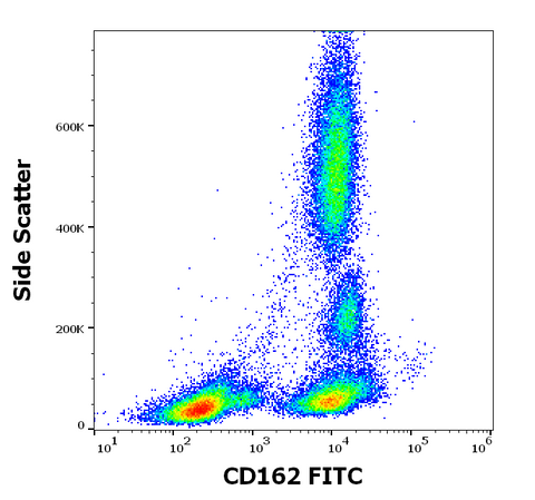 FITC Anti-Human CD162 (TC2)