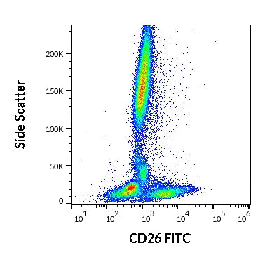 FITC Anti-Human CD26 (BA5b)