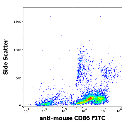 FITC Anti-Mouse CD86 (B7-2) (GL-1 (GL1))