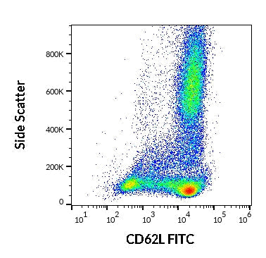 FITC Anti-Human CD62L (L-Selectin) (DREG56)