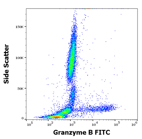 FITC Anti-Human Granzyme B (CLB-GB11)