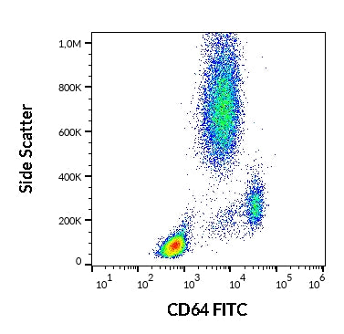 FITC Anti-Human CD64 (10.1)