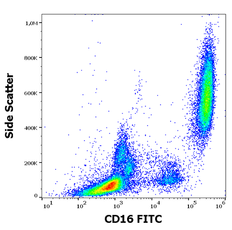 FITC Anti-Human CD16 (3G8)