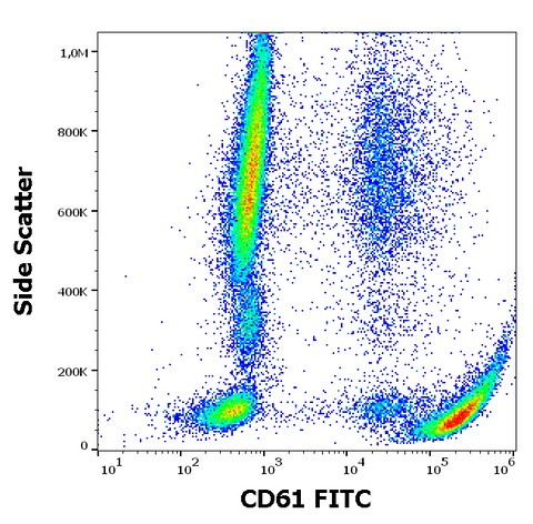 FITC Anti-Human CD61 (VI-PL2)