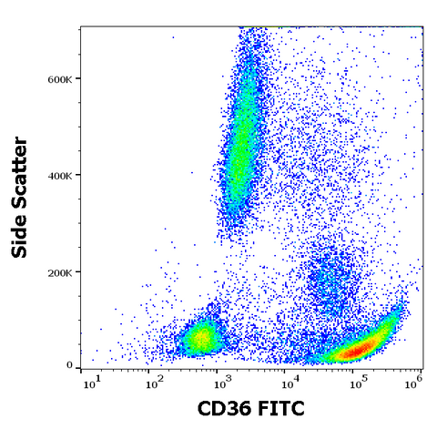 FITC Anti-Human CD36 (CB38)