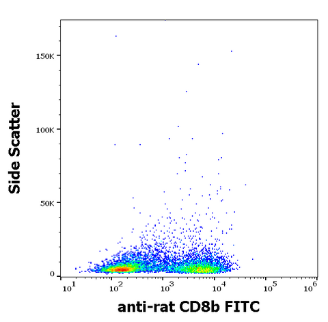 FITC Anti-Rat CD8b (341)