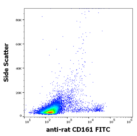 FITC Anti-Rat CD161 (NK1.1) (10/78)