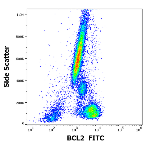 FITC Anti-Human Bcl-2 (BCL-2/100)