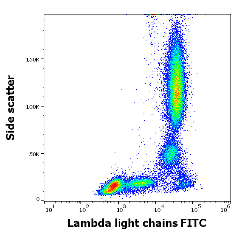 FITC Anti-Human Ig Lambda (1-155-2)