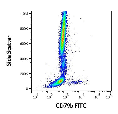 FITC Anti-Human CD79b (CB3-1)