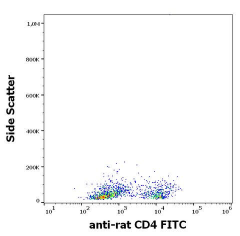 FITC Anti-Rat CD4 (OX-35)