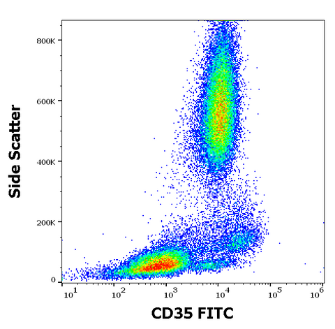 FITC Anti-Human CD35 (E11)
