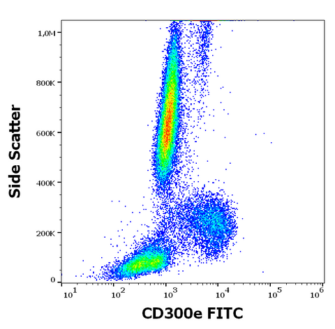 FITC Anti-Human CD300e (UP-H2)