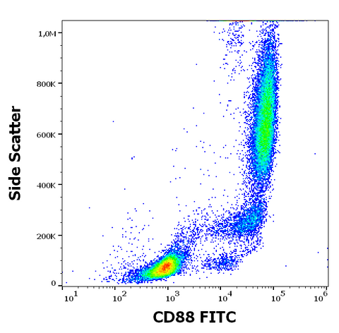 FITC Anti-Human CD88 (S5/1)