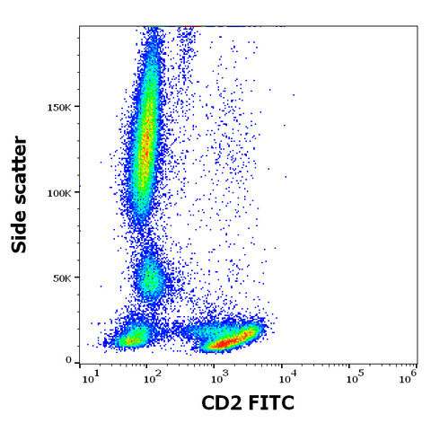 FITC Anti-Human CD2 (TS1/8)
