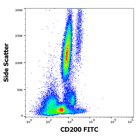 FITC Anti-Human CD200 (OX-104)