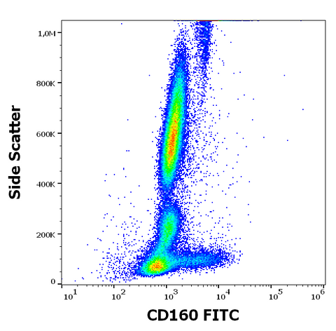 FITC Anti-Human CD160 (NK1) (BY55)