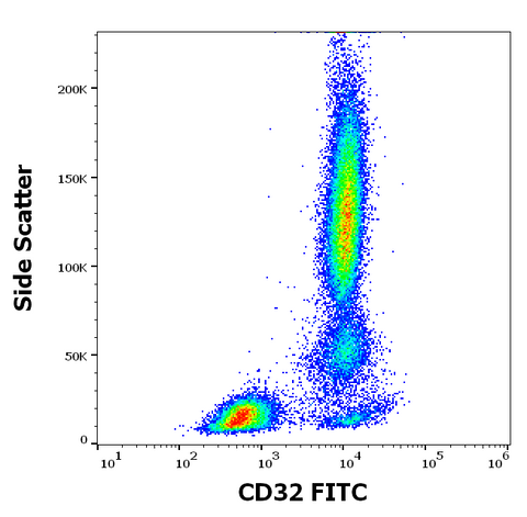 FITC Anti-Human CD32 (3D3)