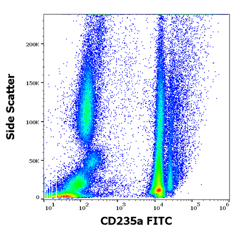 FITC Anti-Human CD235a (JC159)