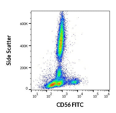 FITC Anti-Human CD56 (LT56)
