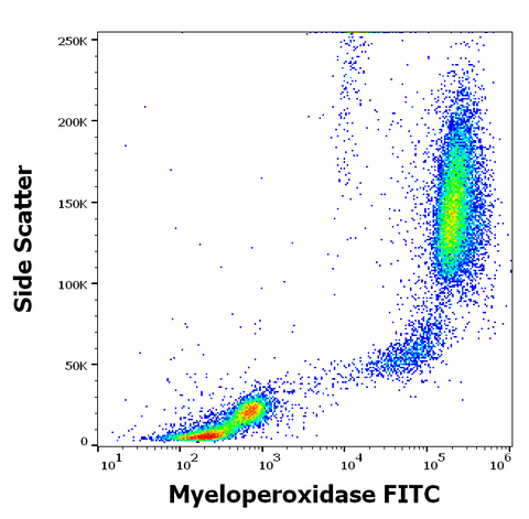 FITC Anti-Human MPO (MPO421-8B2)