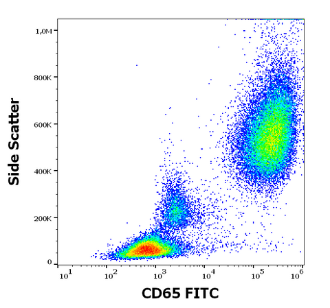 FITC Anti-Human CD65 (VIM8)