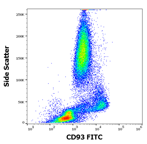 FITC Anti-Human CD93 (VIMD2)