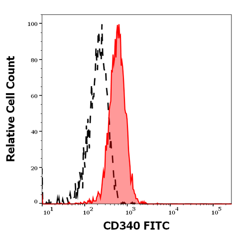 FITC Anti-Human CD340 (24D2)