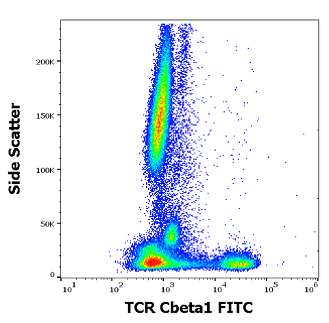 FITC Anti-Human TCR Cβ1 (JOVI.1)